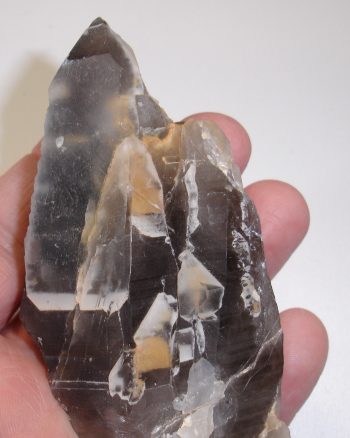 Smoky quartz crystal cluster with secondary translucent quartz growth
