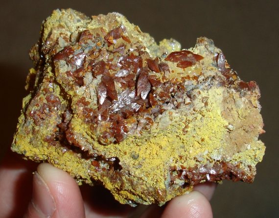 Wulfenite (tetragonal crystals) on limonite