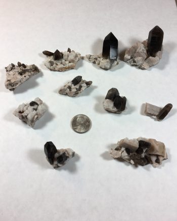 Collection of ten specimens – smoky quartz on matrix of microcline and albite