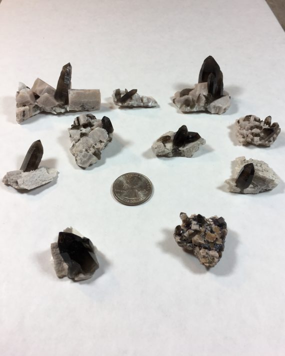 Collection of ten specimens - smoky quartz on matrix of microcline and albite