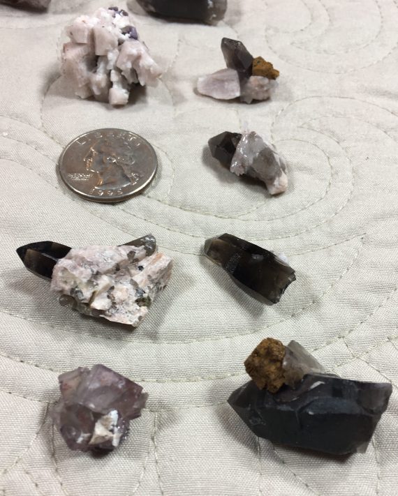 Collection of 12 thumbnail-sized specimens – smoky quartz, microcline, fluorite, albite, and specular hematite