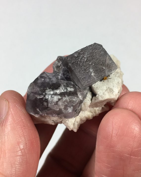 Fluorite cubes on Microcline