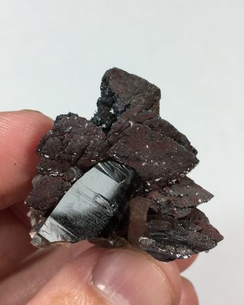 Hematite pseudomorph (after Siderite?), and Smoky Quartz