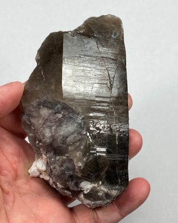 Large partial Smoky Quartz crystal