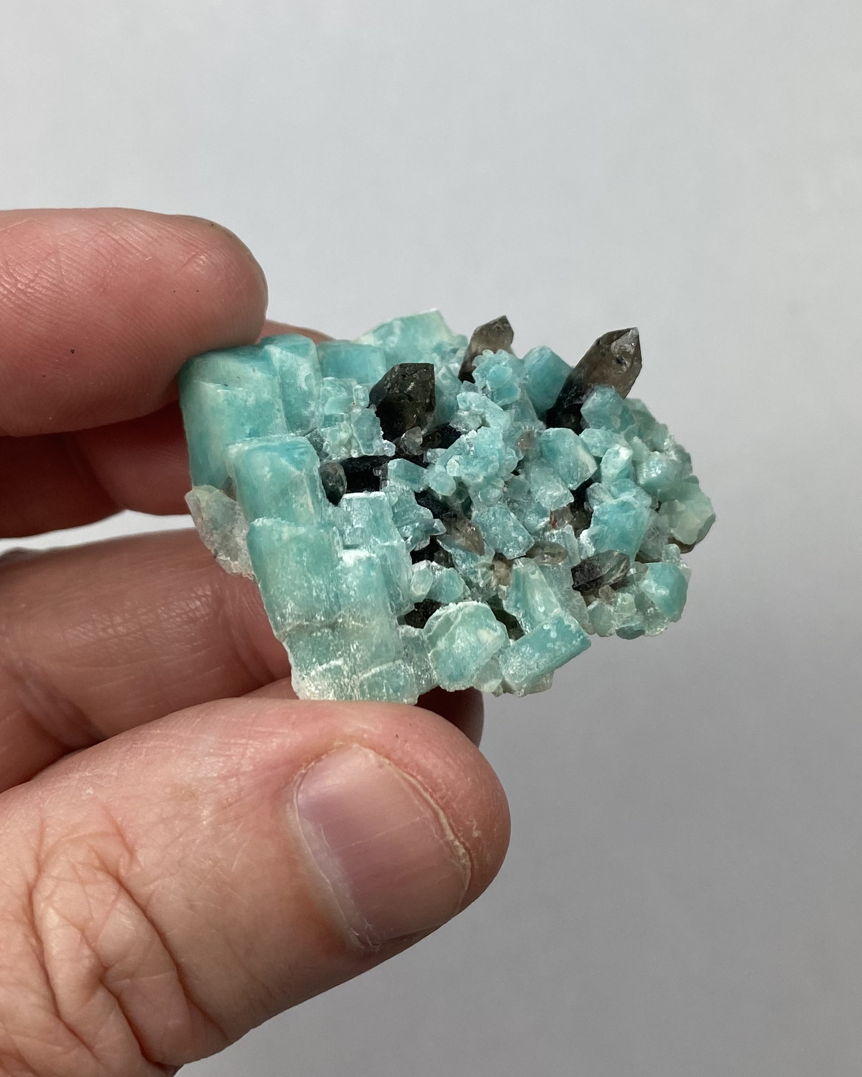 Amazonite and Smoky Quartz - The smallest amazonite crystals I've ever seen!