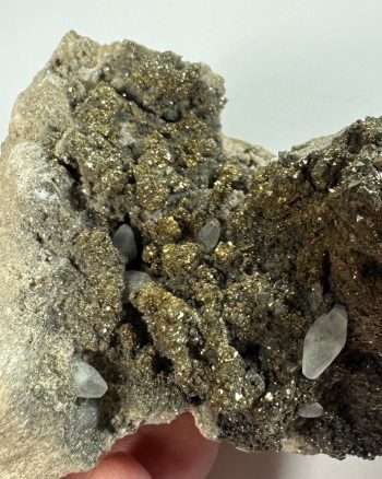 A vug containing small calcite crystals perched on a base of marcasite
