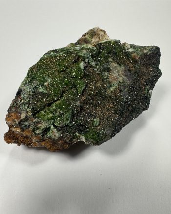 Small libethenite crystals coating the surface and interior of vugs in this unusual specimen