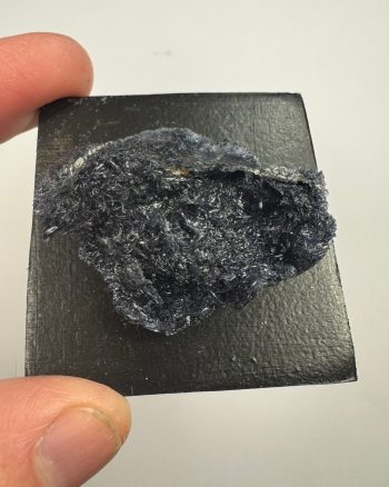 Rare glaucophane specimen from Italy. Specimen is mounted to a black foamboard as seen in photos